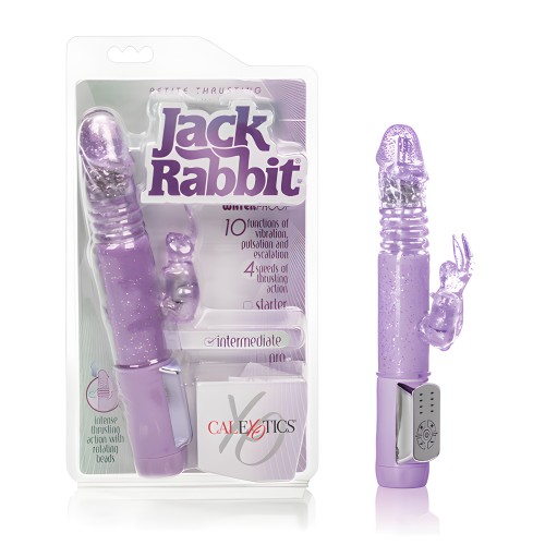 Jack Rabbit Petite Thrusting - Púrpura