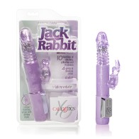 Jack Rabbit Petite Thrusting - Púrpura