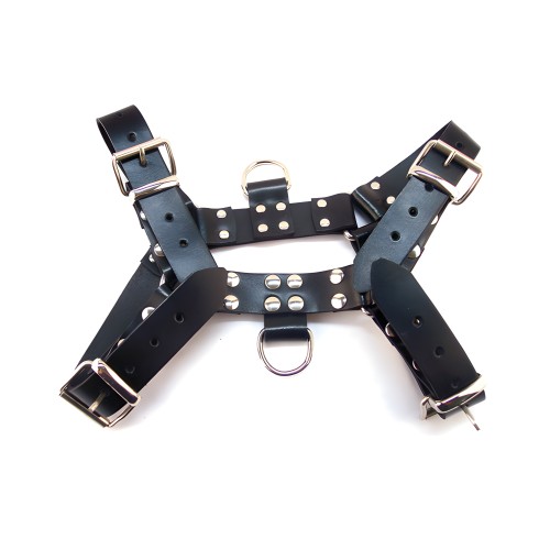 Rouge Over the Head Harness - Black