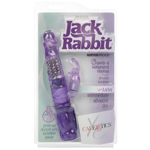 Jack Rabbit Petite - Vibrador Púrpura