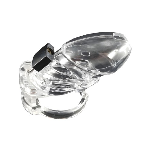 Locked In Lust The Vice Plus