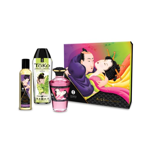Kit de Besos Frutales Shunga - Mejora la Intimidad