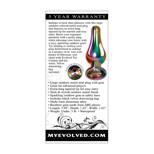 Evolved Rainbow Metal Plug - Large