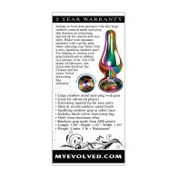 Evolved Rainbow Metal Plug - Large