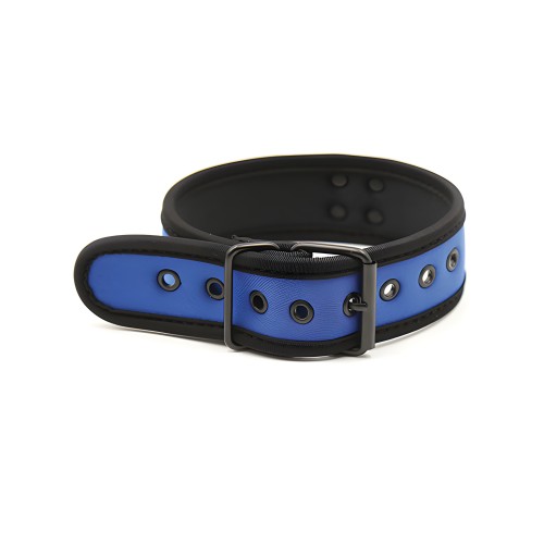 Collar de Neopreno Plesur - Azul