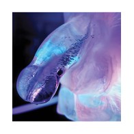 Play Wiv Me Huge Penis Ice Luge