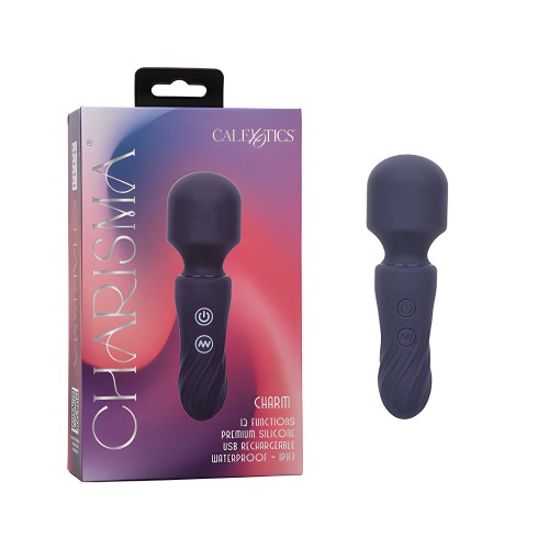 Charisma Charm Massager