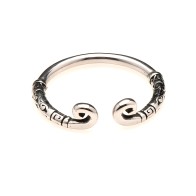 Anillo de Glans de Acero Inoxidable Master Series Kingpin