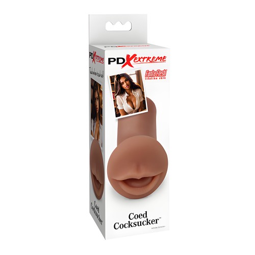 PDX Extreme Coed Cocksucker - Brown