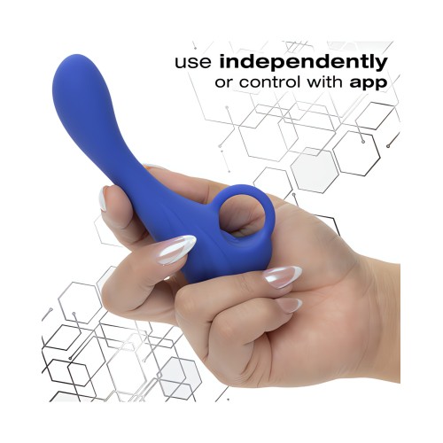 Calexotics Connect Explorer