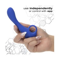 Calexotics Connect Explorer