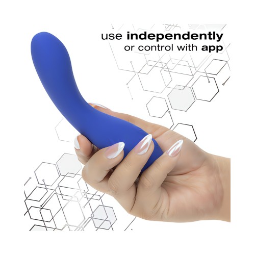 Calexotics Connect Warming Wand