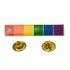 Gaysentials Lapel Pin Rainbow Bar