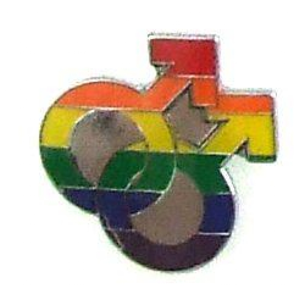 Gaysentials Lapel Pin Rainbow Double Male