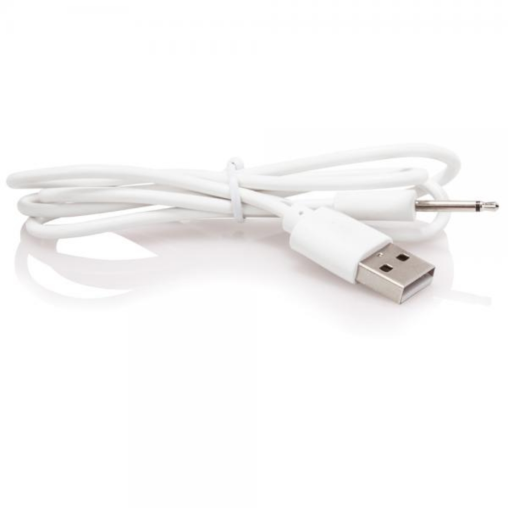 Screaming O Recharge Charging Cable
