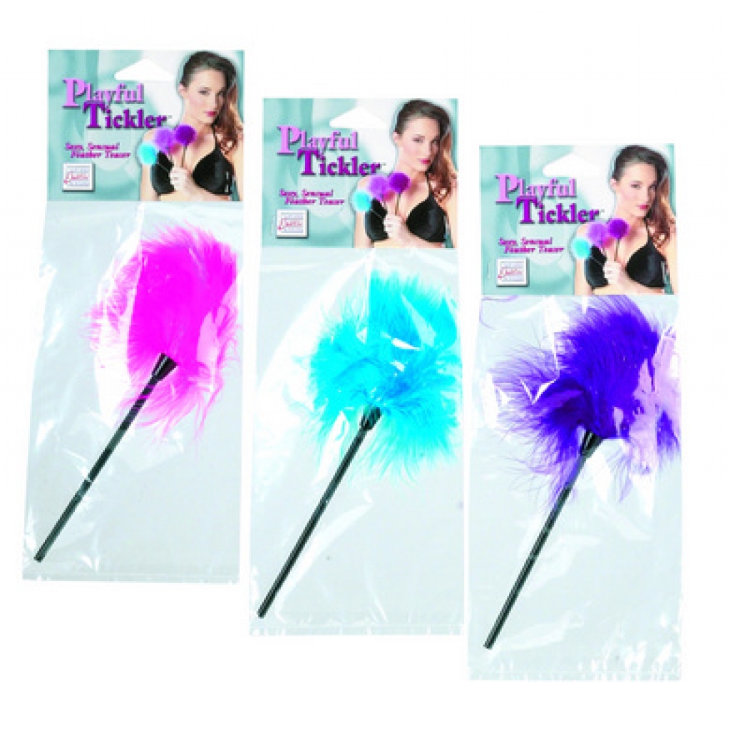 Playful Tickler Assorted Color Feathers