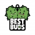 Best Buds Air Freshener (net)